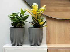 Doppelboden Plastiktöpfe: Eleganz Pur