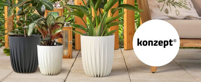 Stilvoller Auftritt für Innen und Außenbereiche