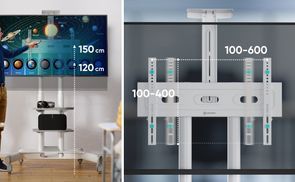 VESA und Höhenverstellung