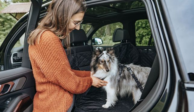 Für eine entspannte & sichere Fahrt