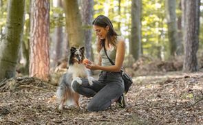 Hundespielball mit Spaßfaktor