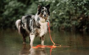 Wetterfest & langlebig