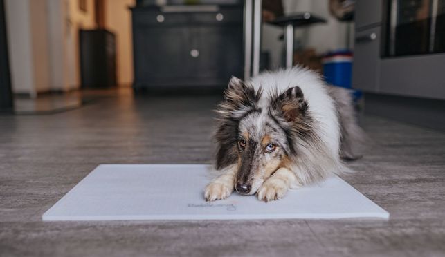 Sauber, rutschfest & stylisch – für entspannte Mahlzeiten