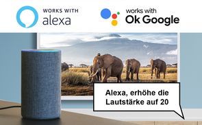 Works with Alexa & Google Assistant