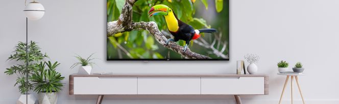 JVC 4K Ultra HD Smart TV - Allround-Talent für smarte Unterhaltung