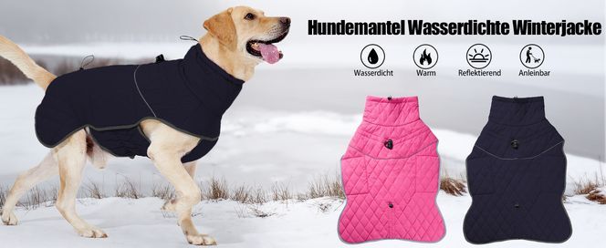Wintermantel Für Hunde – Wasserdicht, Reflektierend, Mit Geschirr, Für Kleine Bis Große Hunde (Größe M, Schwarz)