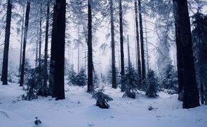 Nachhaltiger Wetterschutz