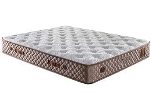 Ausgezeichnete Temperatur und Feuchtigkeitskontrolle