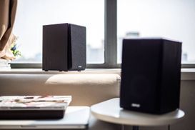 24 Watt RMS