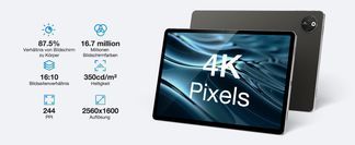 12,4 Zoll 4K Display & TÜV