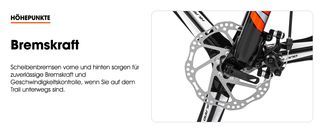 Mechanical disc brakes (front/rear)