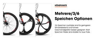 Multiple/3/6 spoke options