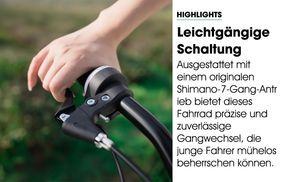 Präzise Shimano 7 Gang Schaltung