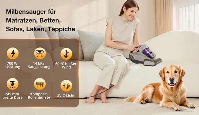 Hygienische Tiefenreinigung für Allergiker