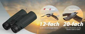 Vergleich: 12 fach vs. 20 fach Vergrößerung