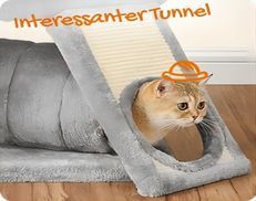 Interessanter Tunnel