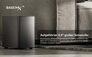 6,5'' Großer drahtloser Subwoofer