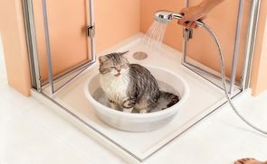 BOROMAL Integration in Leben