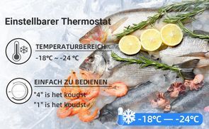4 Sterne Gefrieren & Schnelleis