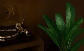 Authentischer Klang trifft moderne Technik