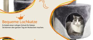 Gemütliches Katzenhaus