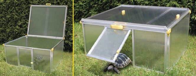 Komfortables Heim für Schildkröten & Co?