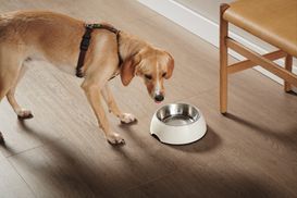 Langlebig und wertbeständig