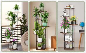 Multifunctional plant stand