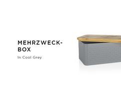 Mehrzweck-Box