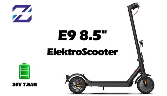 Segway-Ninebot F20D, E Scooter mit Straßenzulassung für Erwachsene, max. 20  km/h Geschwindigkeit, 20 km Reichweite, Scheibenbremse : : Sport &  Freizeit
