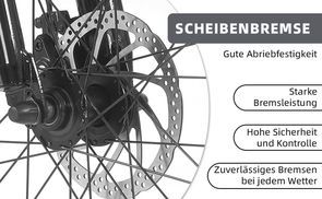 Sicher Bremsen – Doppeltes Scheibenbremssystem