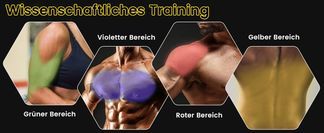 Training verschiedener Muskelgruppen