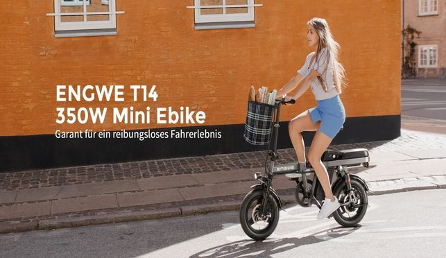 ENGWE T14 EU Elektrisches Fahrrad 250W | Faltbares E Bike 45KM 