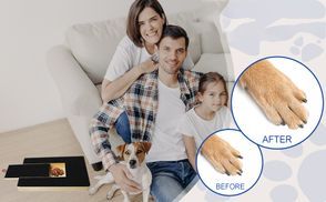 Die Lösung: Stressfreies Krallenschleifen