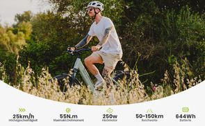 Optimierte Stoßdämpfung 