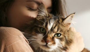 Praktische Anwendungsempfehlung