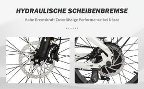 Hydraulische Scheibenbremsen mit starker Wirkung