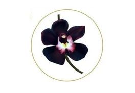 Die schwarze Orchidee – selten, kraftvoll, luxuriös.