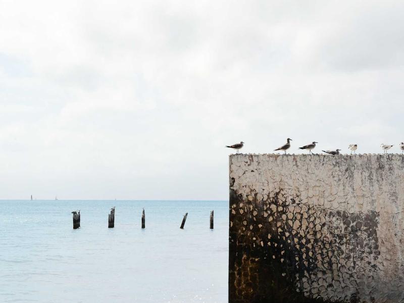 dslr-panorama-horizont