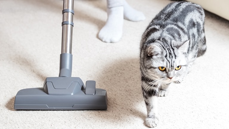 Staubsauger f&uuml;r Allergiker und Tierhaare