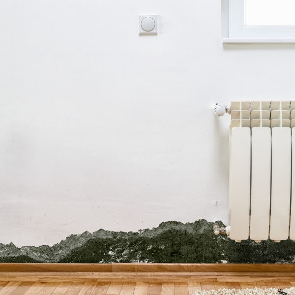 Au&szlig;enw&auml;nde sind k&auml;lter als Innenw&auml;nde. Sie ziehen Kondenswasser an und sind besonders anf&auml;llig f&uuml;r Schimmel.