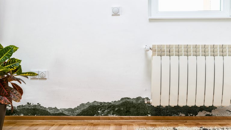 Au&szlig;enw&auml;nde sind k&auml;lter als Innenw&auml;nde. Sie ziehen Kondenswasser an und sind besonders anf&auml;llig f&uuml;r Schimmel.