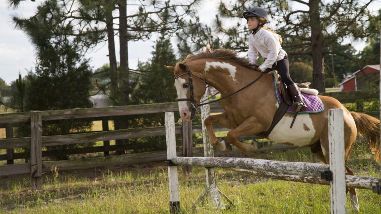 Ein Mädchen springt auf ihrem Pferd über ein Hinderniss