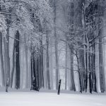 Winterlandschaft Schwarzwei&szlig;