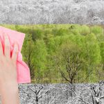 Symbolbild: Hand putzt schwarz-wei&szlig;e Welt nat&uuml;rlich gr&uuml;n