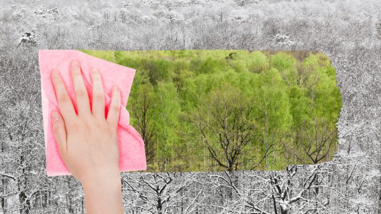 Symbolbild: Hand putzt schwarz-wei&szlig;e Welt nat&uuml;rlich gr&uuml;n