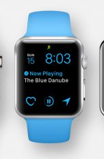 App Spotty auf der Apple Watch