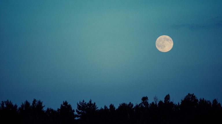 Mond fotografieren – Tipps und Tricks für spektakuläre Aufnahmen