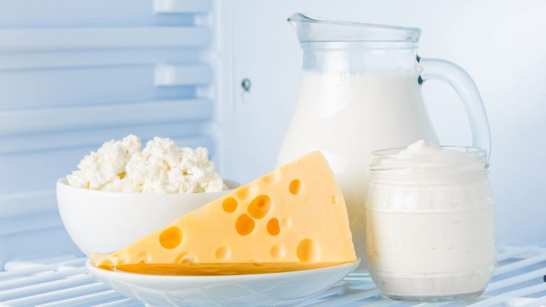 Lebensmittel optimal lagern Käse