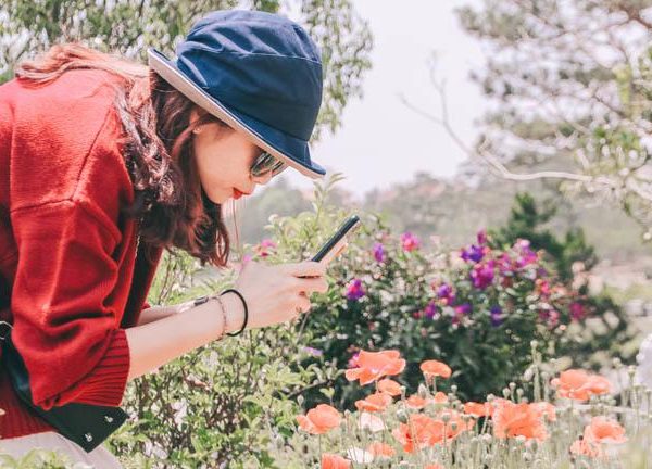 helloplant Sensor und App
